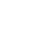 icono de categoría