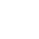 icono de categoría