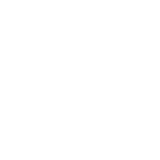 icono de categoría